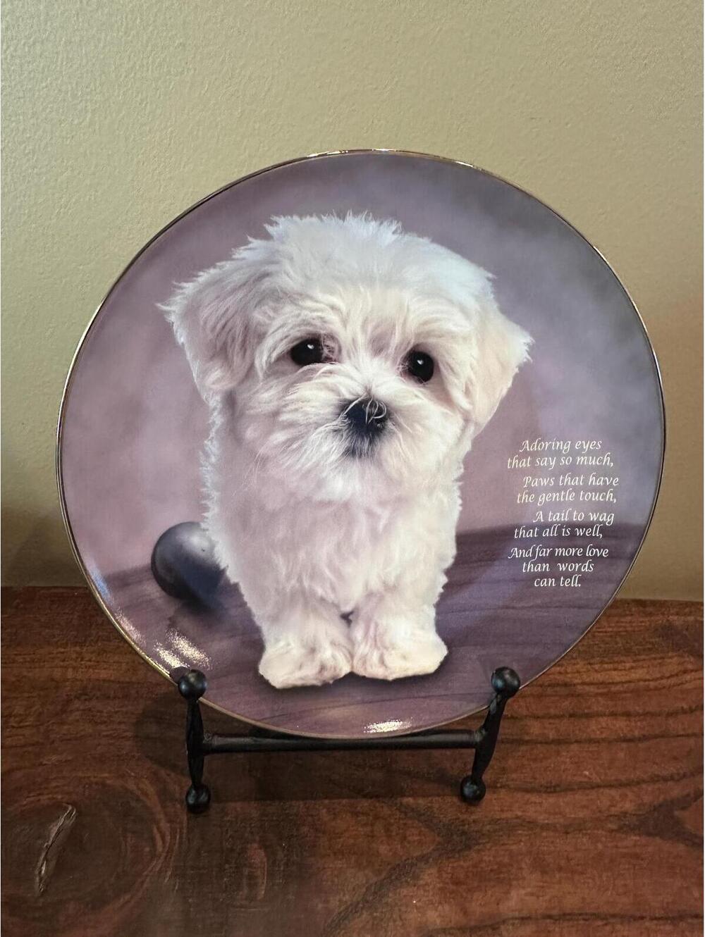 Danbury Mint Maltese Plate - Adoring Eyes